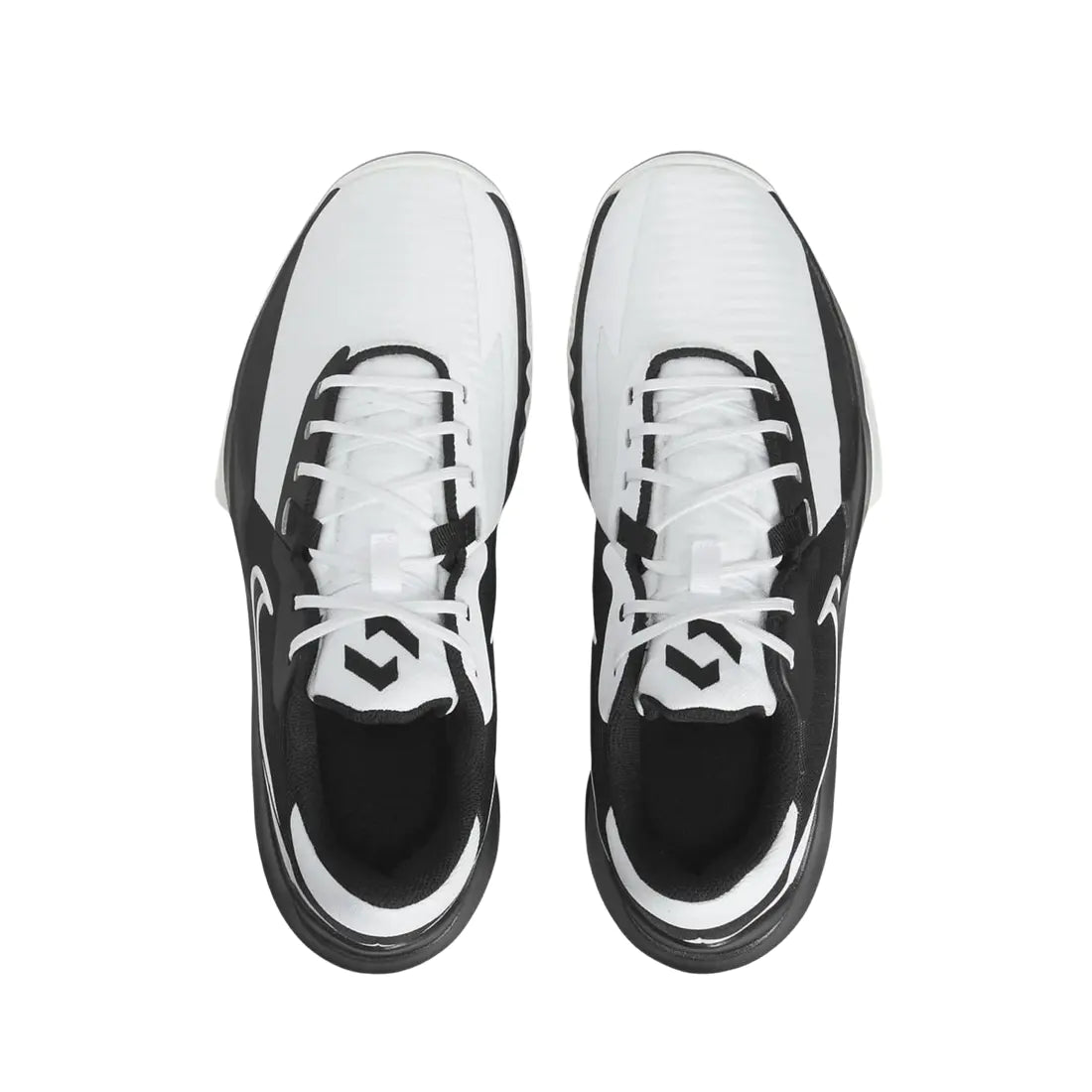 Precision 6 " Black White "