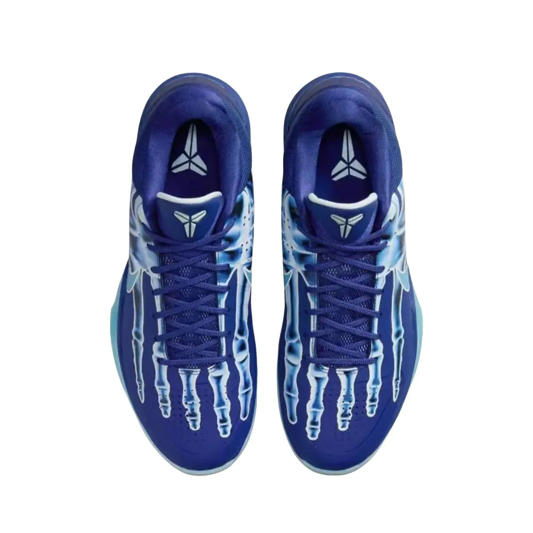 Kobe 5 " Year Of Mamba XRAY"