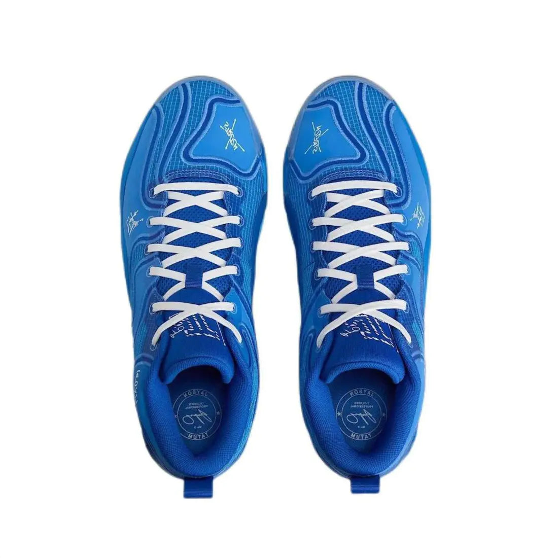Tatum 3 " Blue Print "