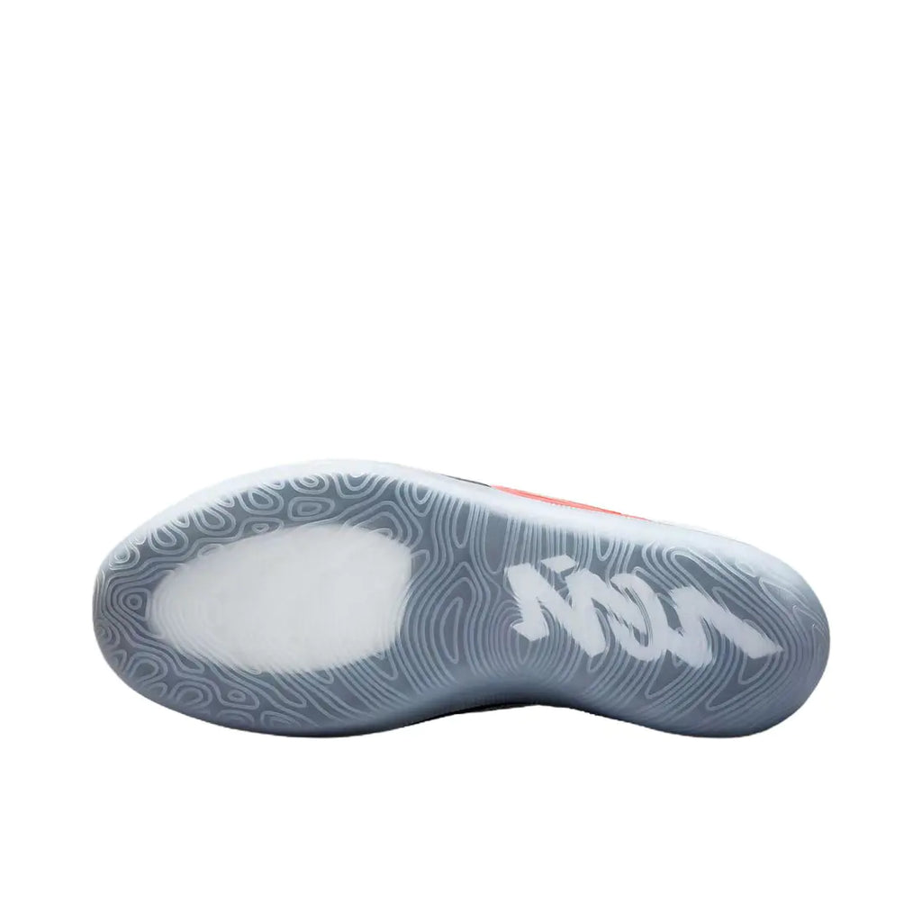 Zion 4 " Flight "