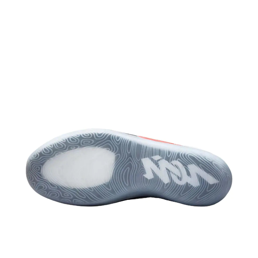 Zion 4 " Flight "