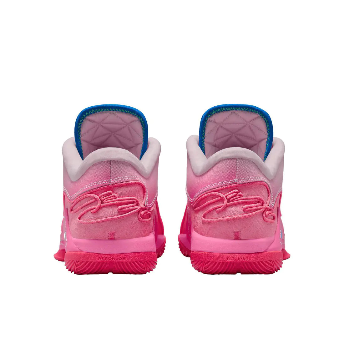 LeBron 22 " Valentine "